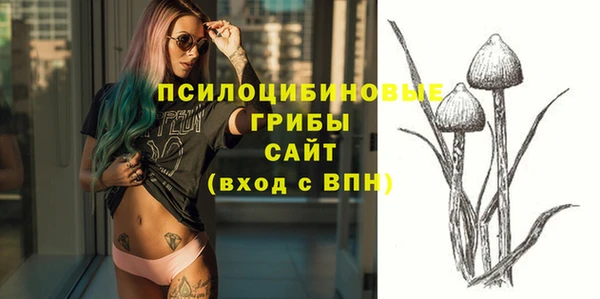 apvp Магас