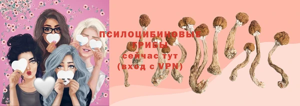 apvp Магас