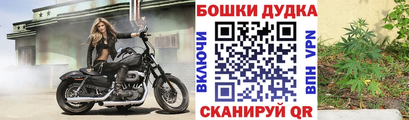 Шишки марихуана планчик  Ладушкин 